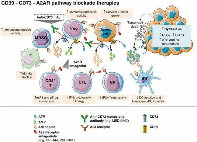 a2a等于多少A2AD，未来战争的全新战略-第3张图片