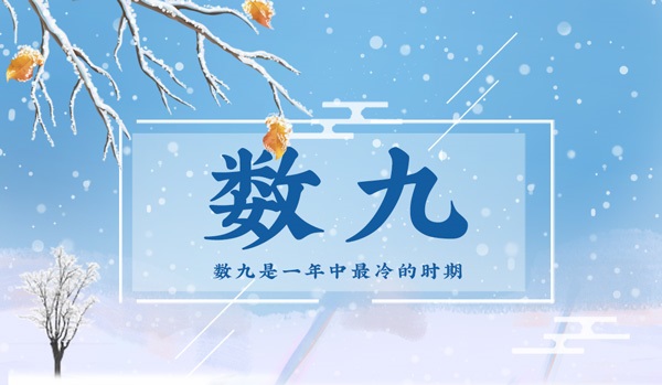 司马称好蚂蚁庄园司马称好与蚂蚁庄园的奇妙故事-第1张图片