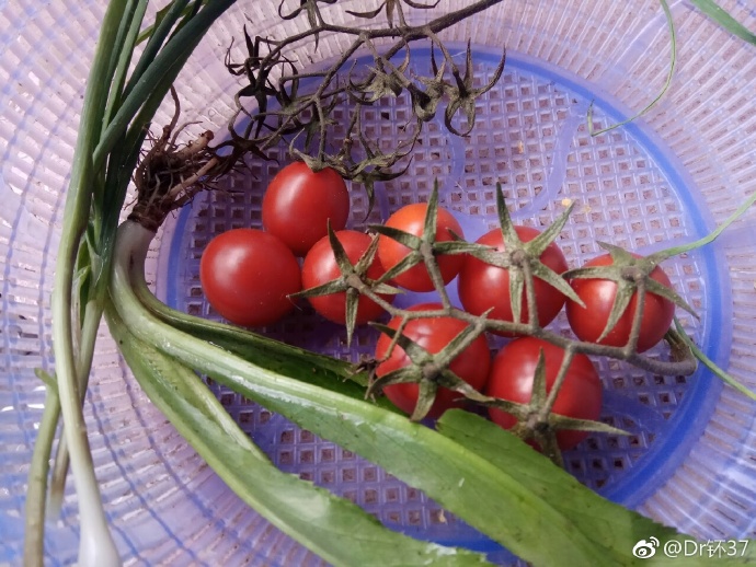 探索芭蕉视频入口的奥秘-第3张图片