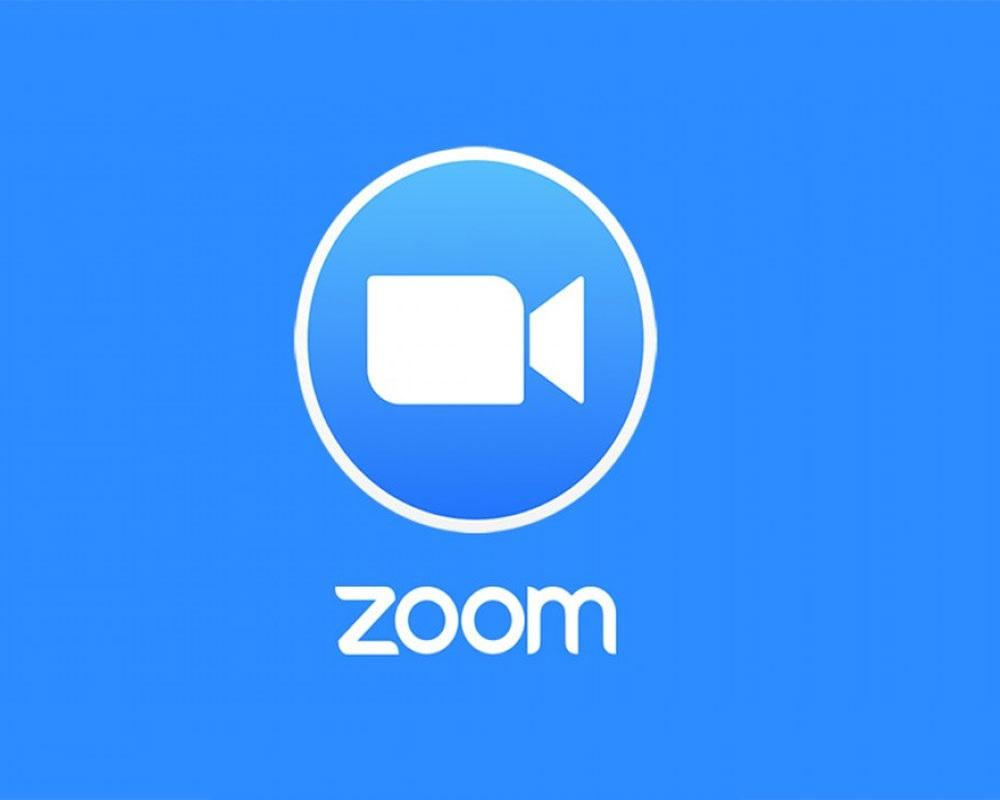 最新的美国zoom动美国ZOOM动物——欢迎您的到来！-第2张图片