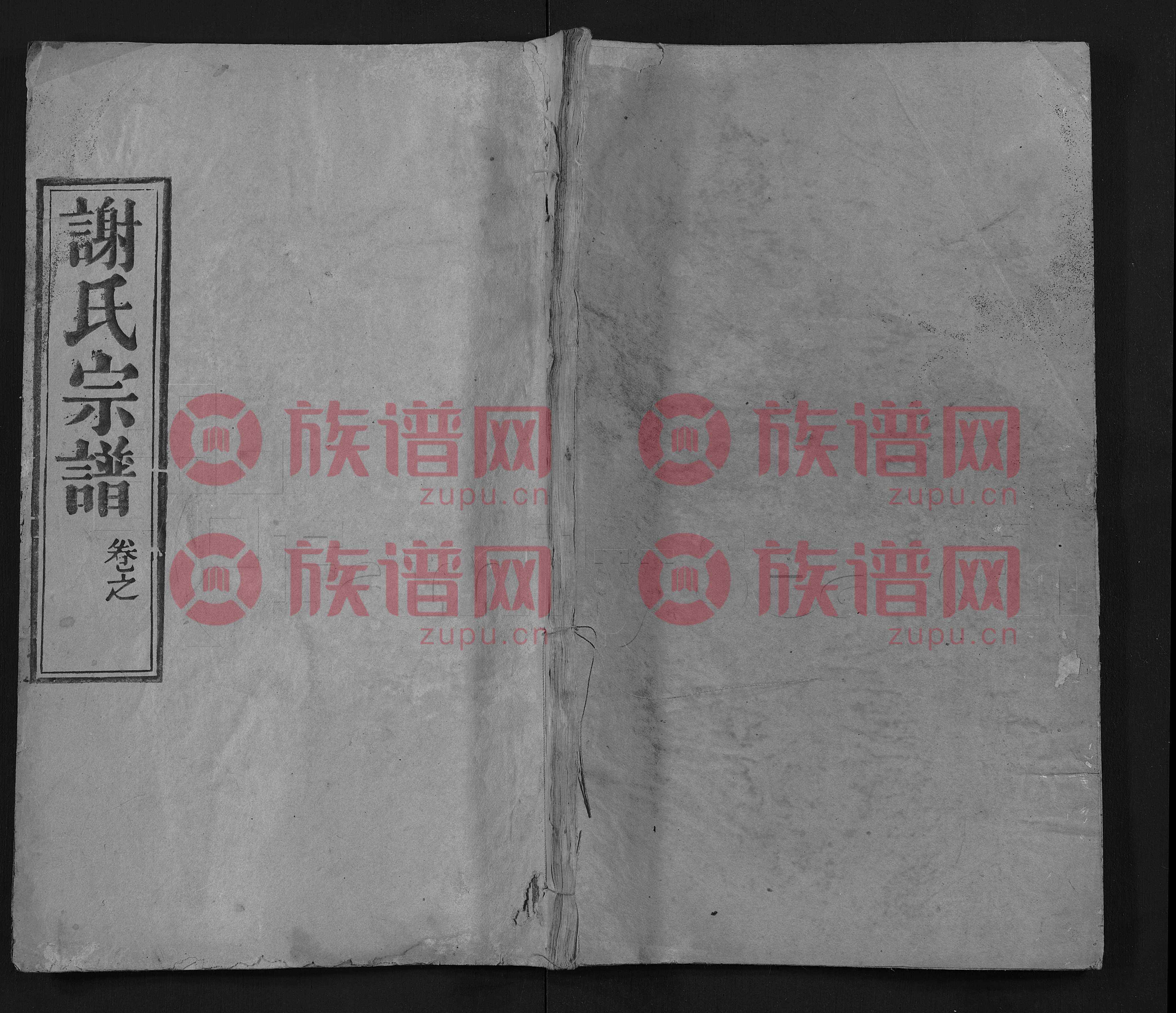 谢氏娇妻全文阅读谢氏娇妻的浪漫之旅，NPH的温馨故事