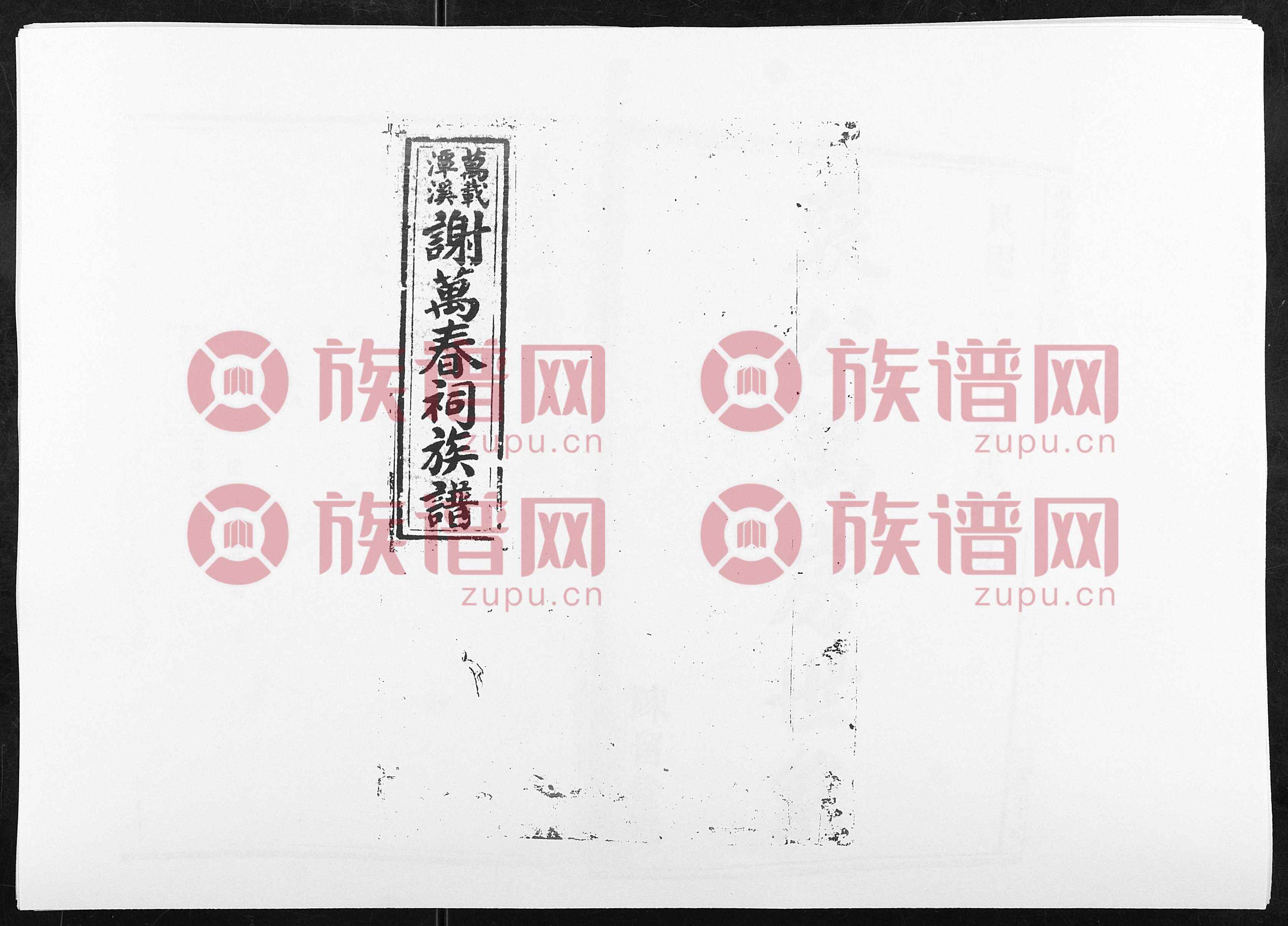 谢氏娇妻全文阅读谢氏娇妻的浪漫之旅，NPH的温馨故事-第2张图片