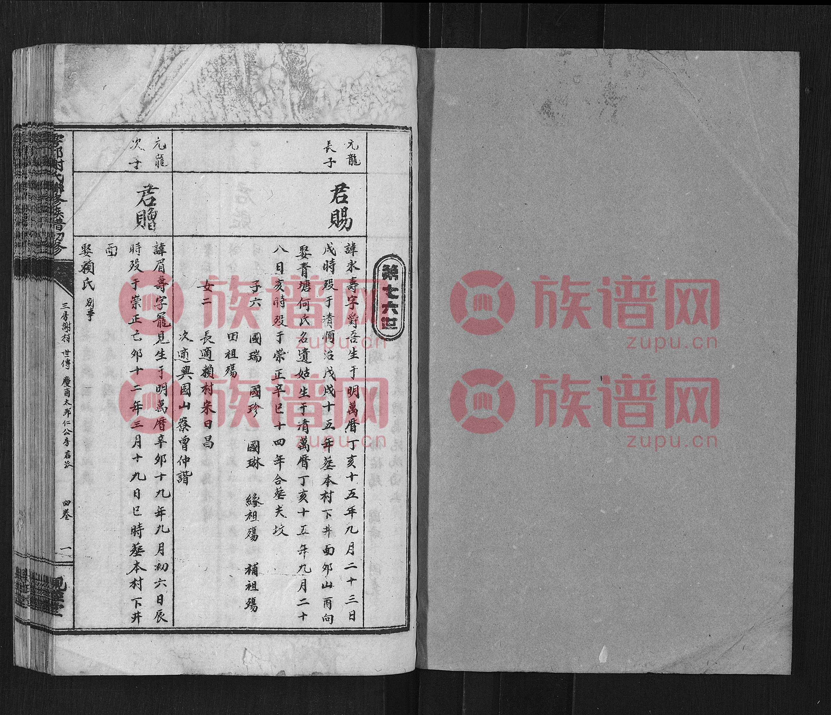 谢氏娇妻全文阅读谢氏娇妻的浪漫之旅，NPH的独特魅力