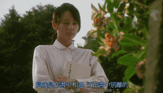 雨后小故事动态全图雨后小故事——动态全图下的生活瞬间