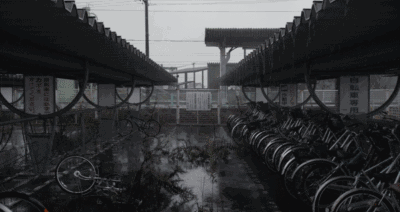 雨后的小故事 动态图片雨后的小故事——动态图片中的温情瞬间-第1张图片