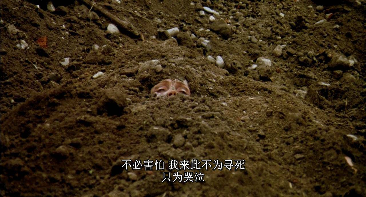 最新a片最新A片，了解与探讨