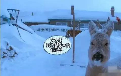 鲜肉小受被各种姿势打桩鲜肉小受的挑战，面对各种姿势打桩的考验-第2张图片