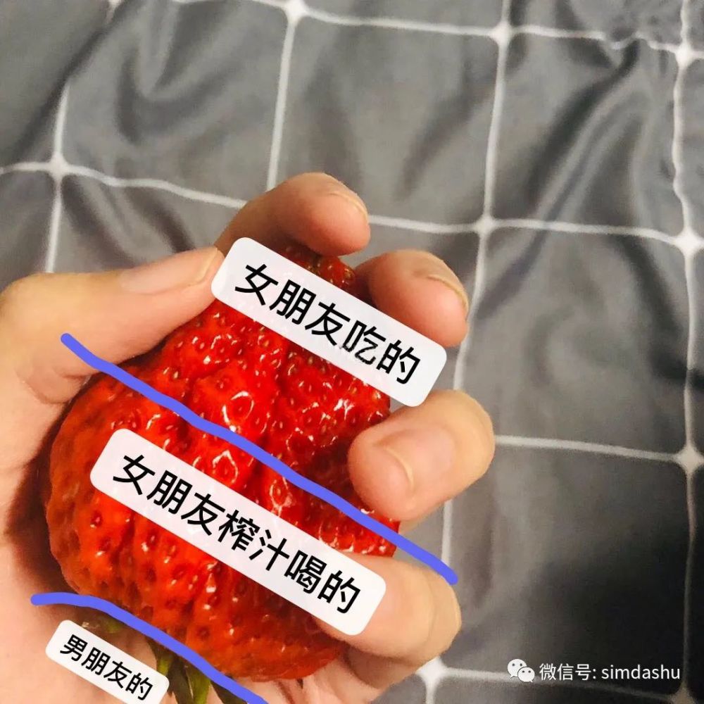 草莓成视频人app在线看——开启你的视觉新体验