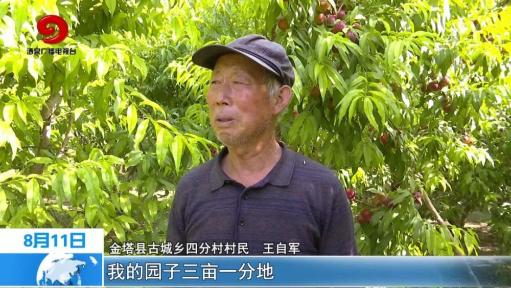 乡村桃医 小说乡村艳妇与桃子的故事-第1张图片
