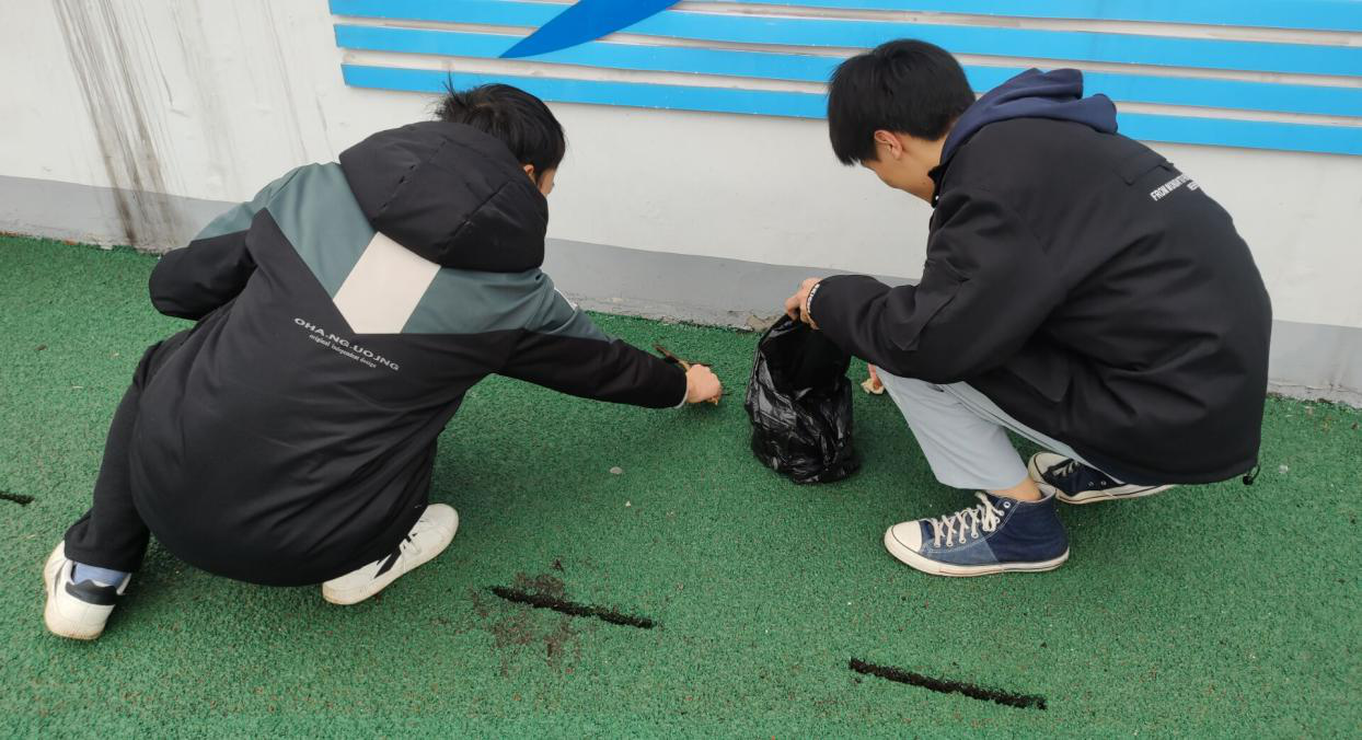 大学生生活指北——全面解析校园生活的方方面面