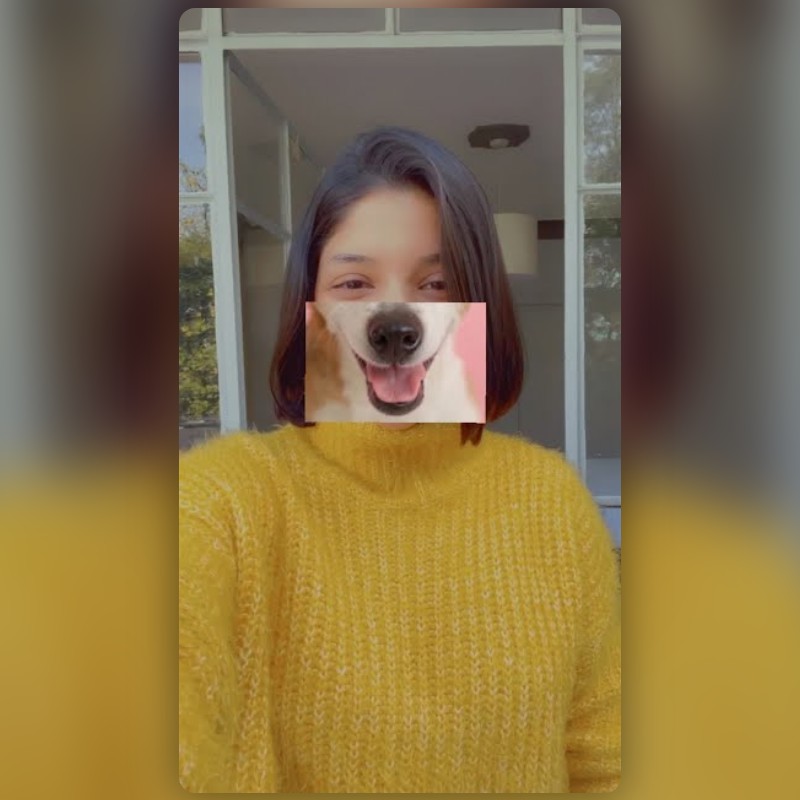 snapchat动漫滤镜叫什么Snapchat动漫滤镜，引领潮流的视觉魔法