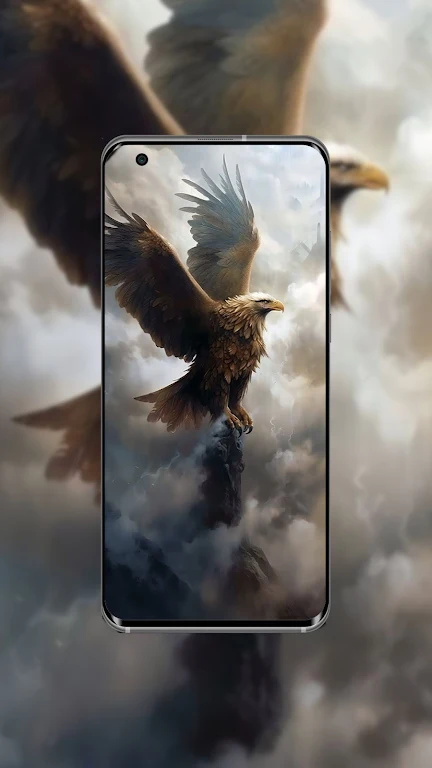 wallpaper官网免费进入探索wallpaper官网的魅力与独特之处-第3张图片