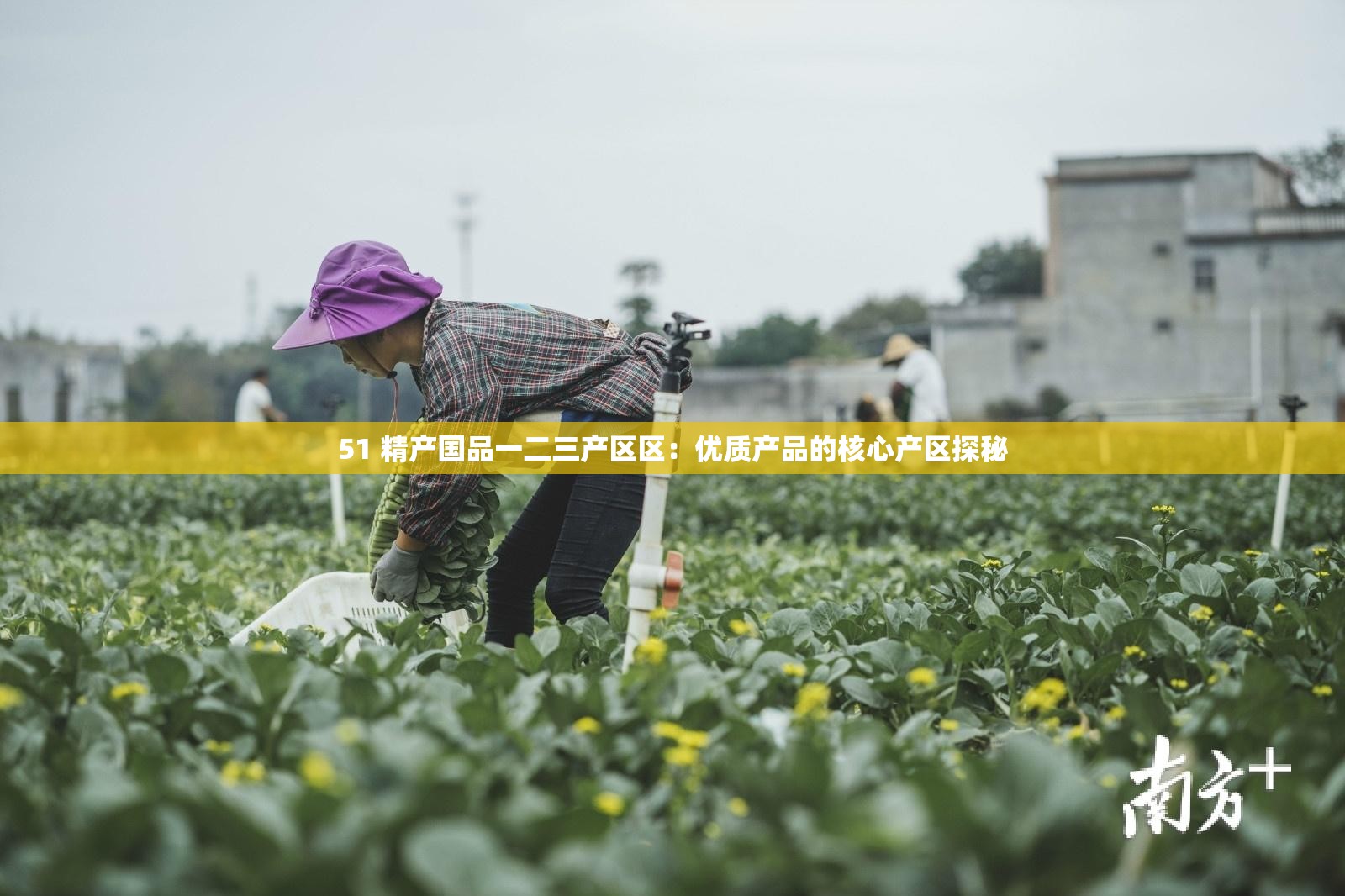 精产国品一二三产品区别在哪呢精产国品一二三产品区别详解