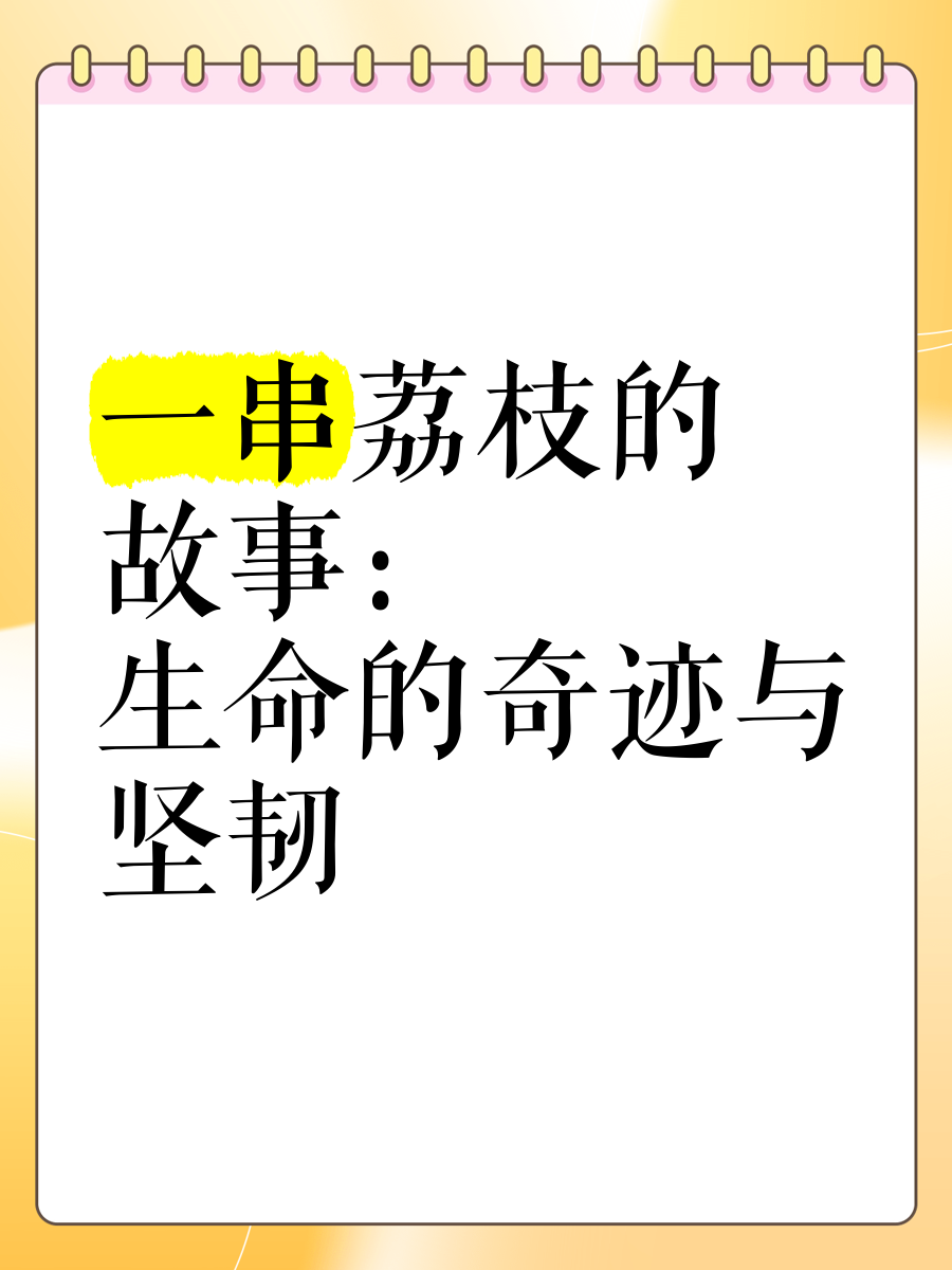已经塞了八颗荔枝了窦寇儿窦寇儿与荔枝的奇妙故事-第1张图片