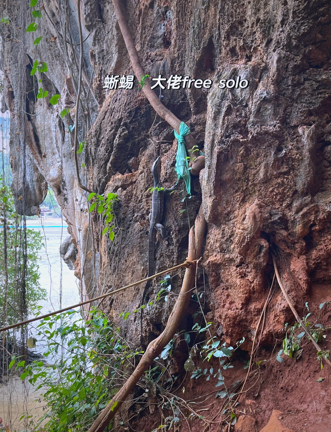 怎么去辛特兰探索未知之旅，如何前往辛特兰-第3张图片