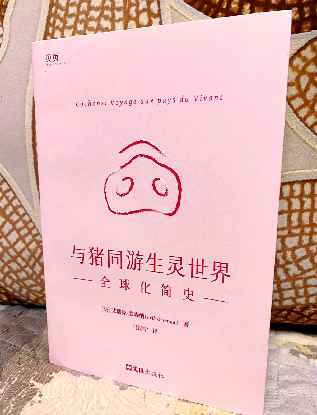 人猪人猪，共存与探索