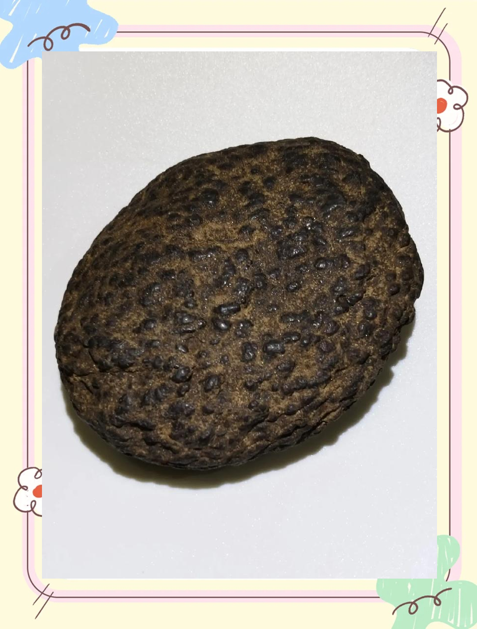 神秘的陨石神秘的陨石，宇宙的遗珠与地球的秘密-第1张图片