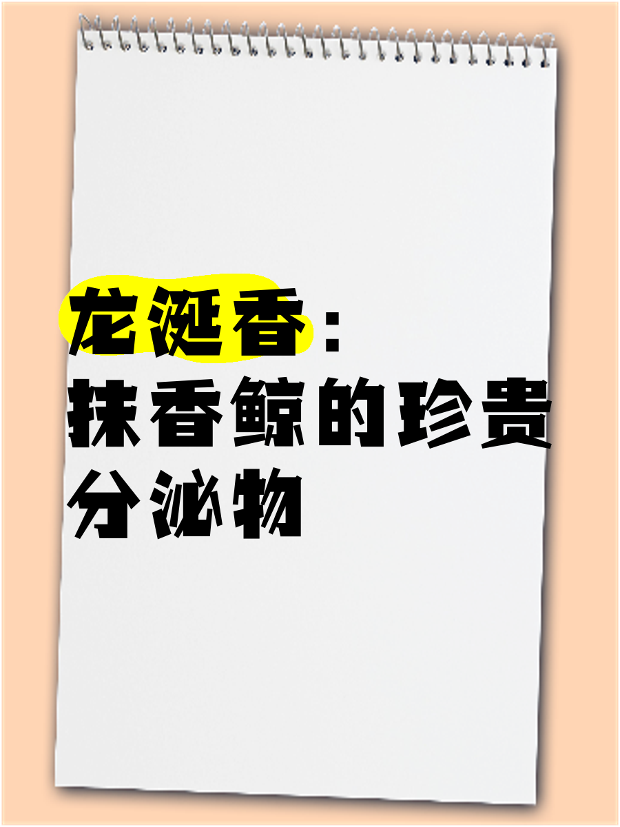 龙涎香之谜，揭秘其来源的海洋生物-第1张图片