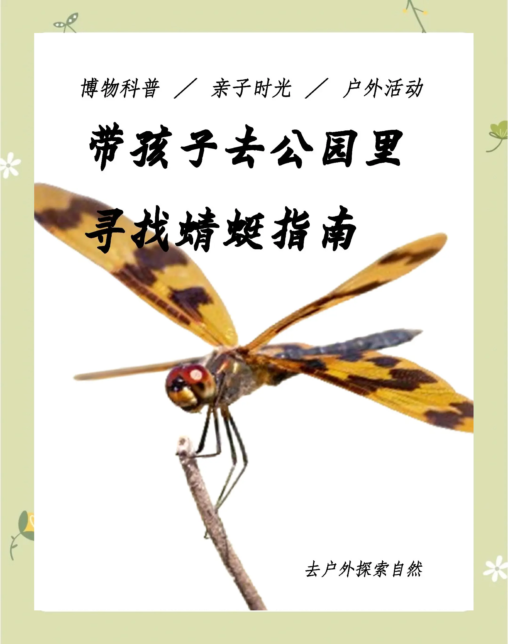 探索tuoyixiaoyouxi的奥秘-第3张图片