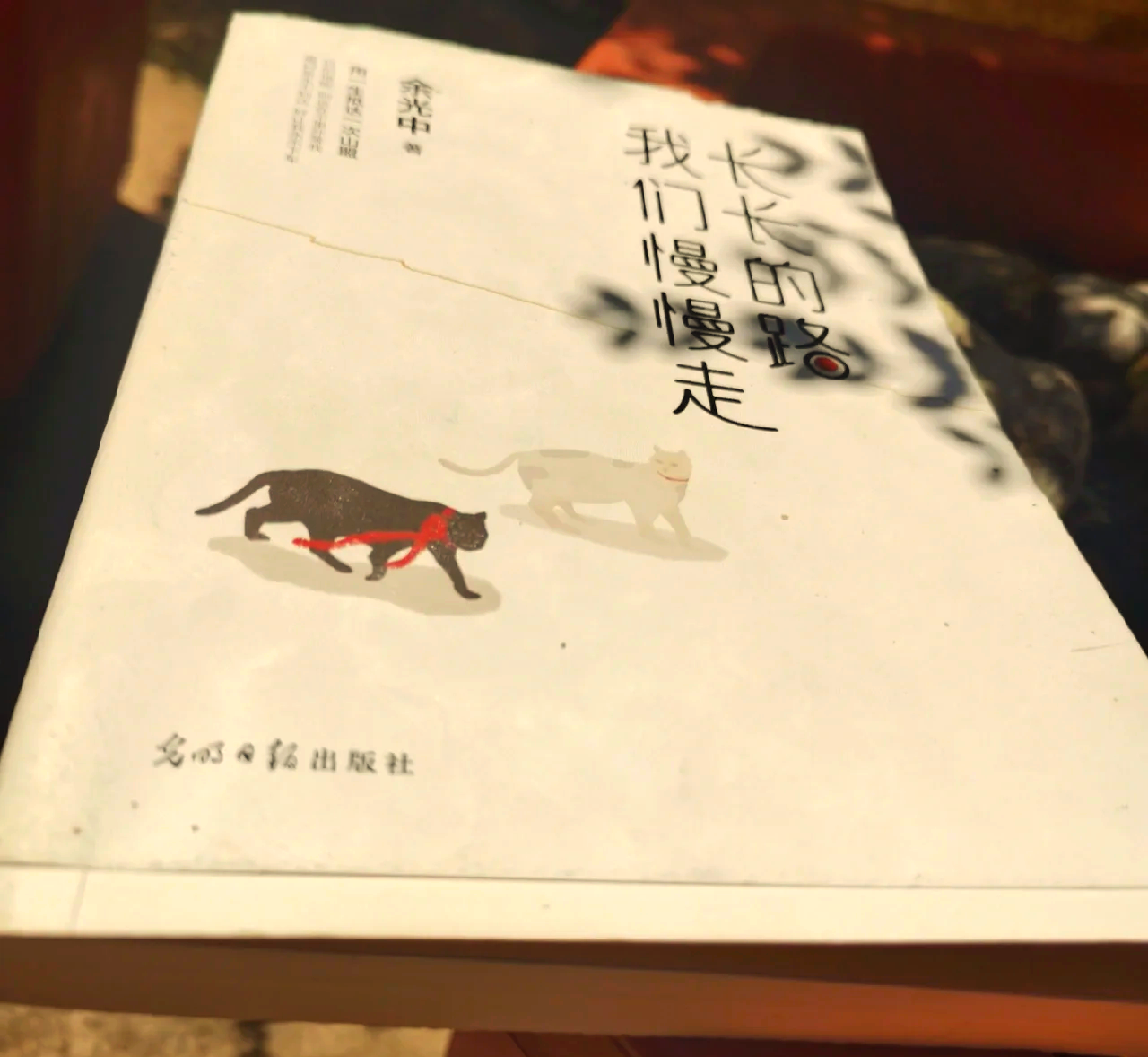 现在看看，我们走过的路-第2张图片