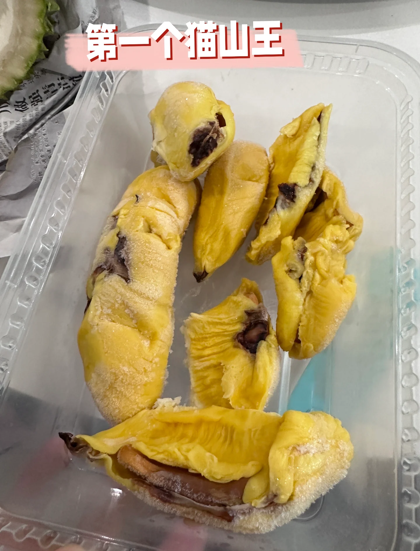 小蝌蚪与热带水果的奇妙之旅——榴莲、芭乐、丝瓜与秋葵的18岁探索-第2张图片