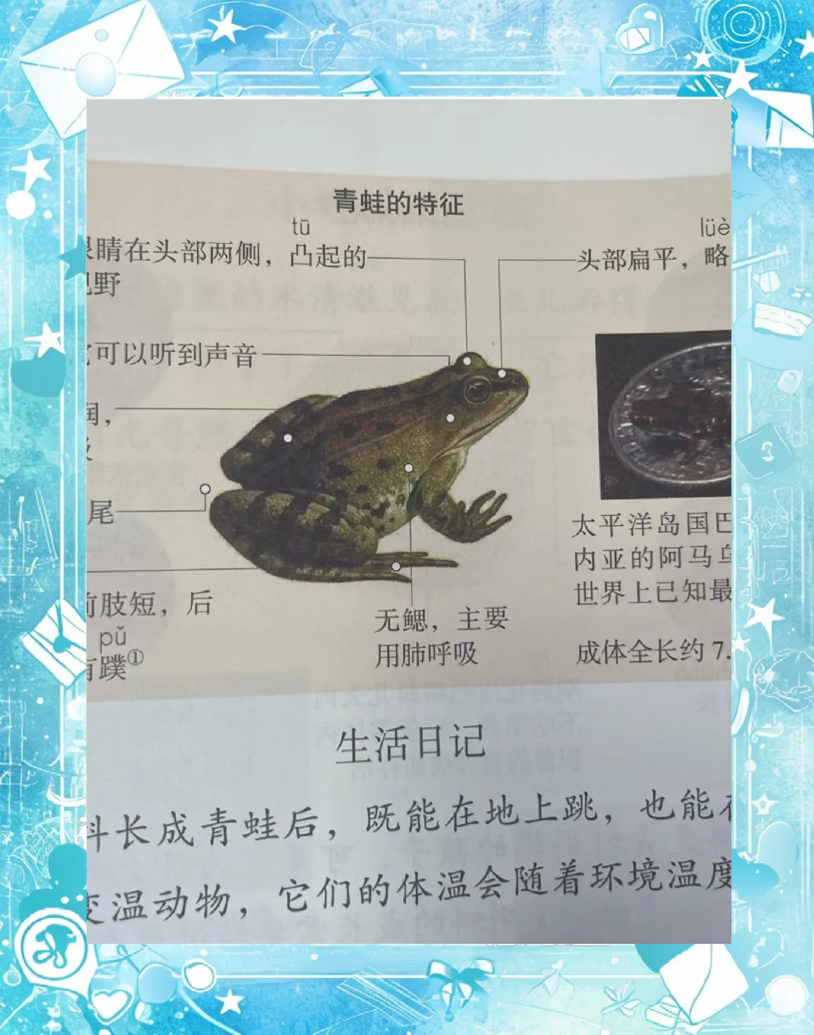 小蝌蚪WWW在线观看免费下载小蝌蚪的奇妙世界——在线观看与免费下载的探索