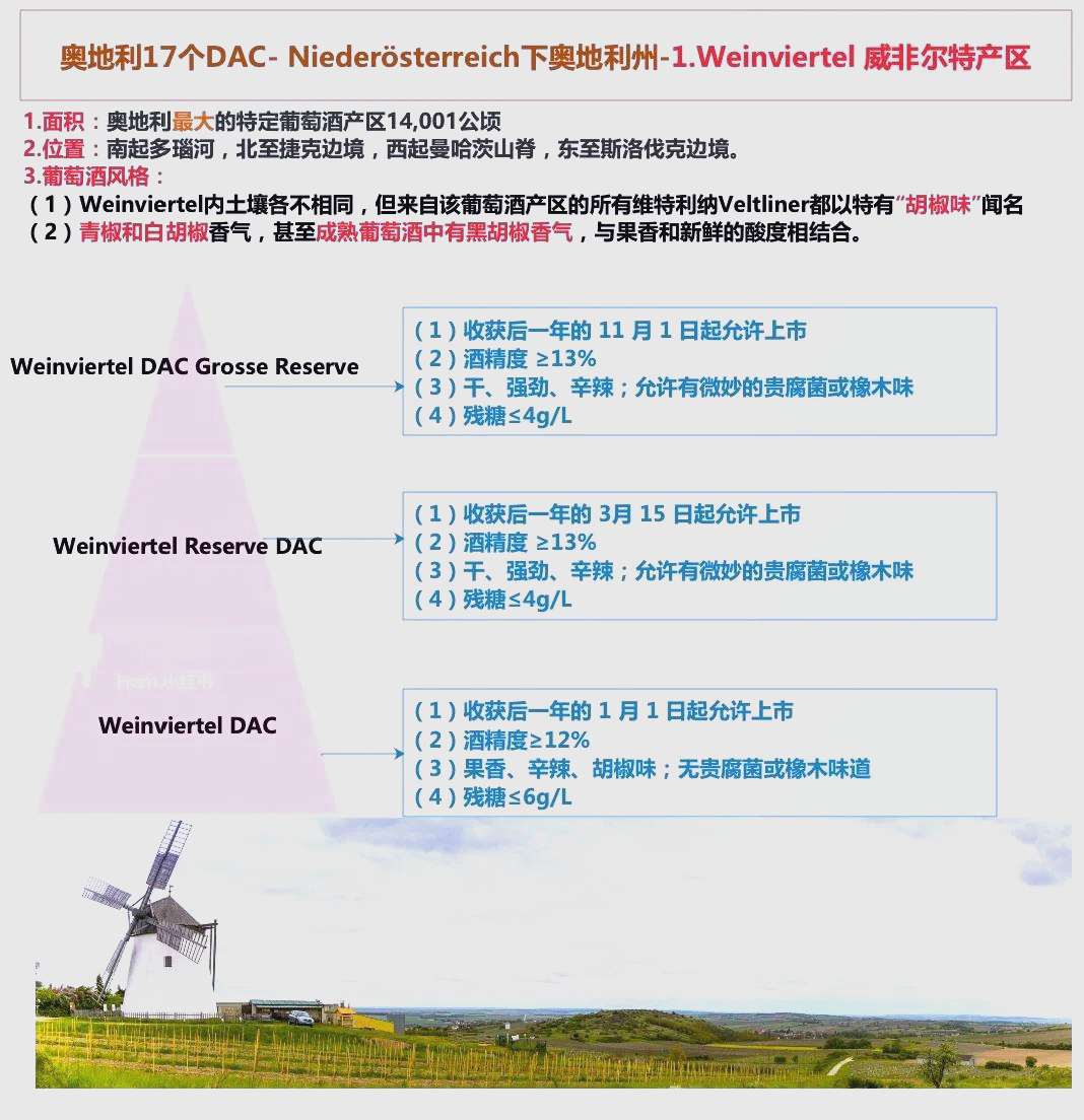 亚洲一线产区和二线产区区别大吗亚洲一线产区和二线产区，深度解析与差异探讨-第2张图片
