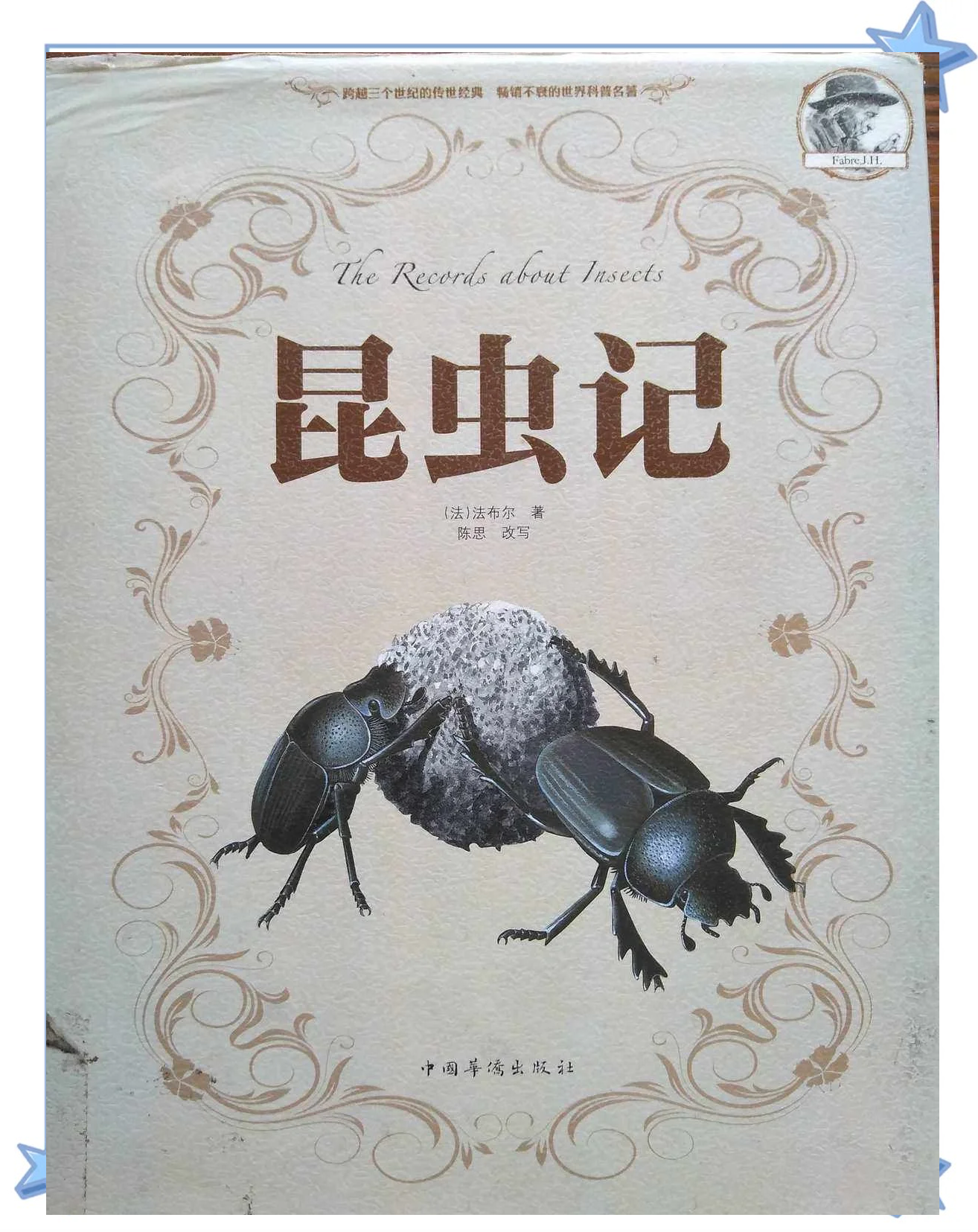 叔叔的大虫子探险记，探秘吃小虫子的奇妙世界-第1张图片