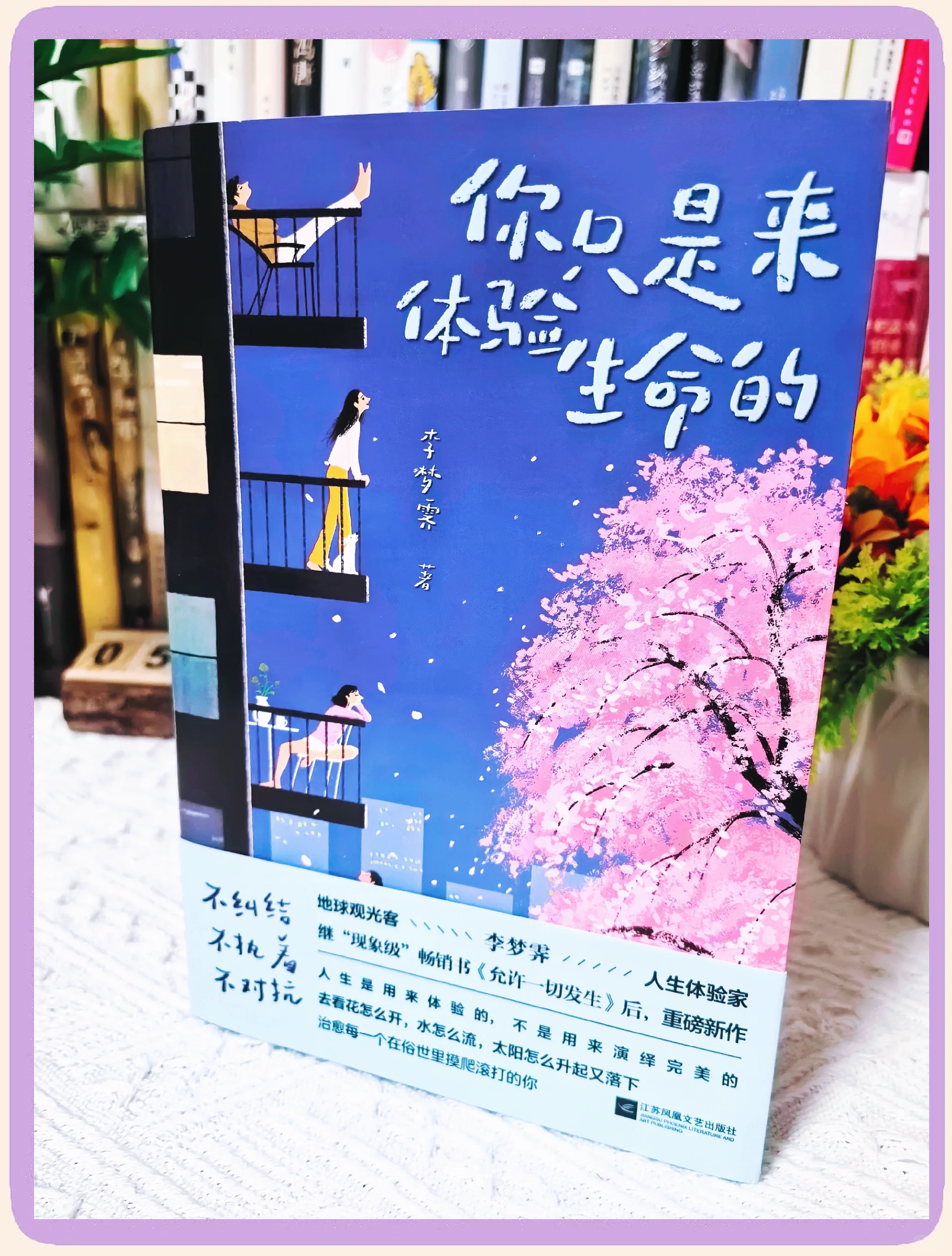 翻雨覆雨的一上一下翻雨覆雨的人生之旅，一上一下的探索与体验