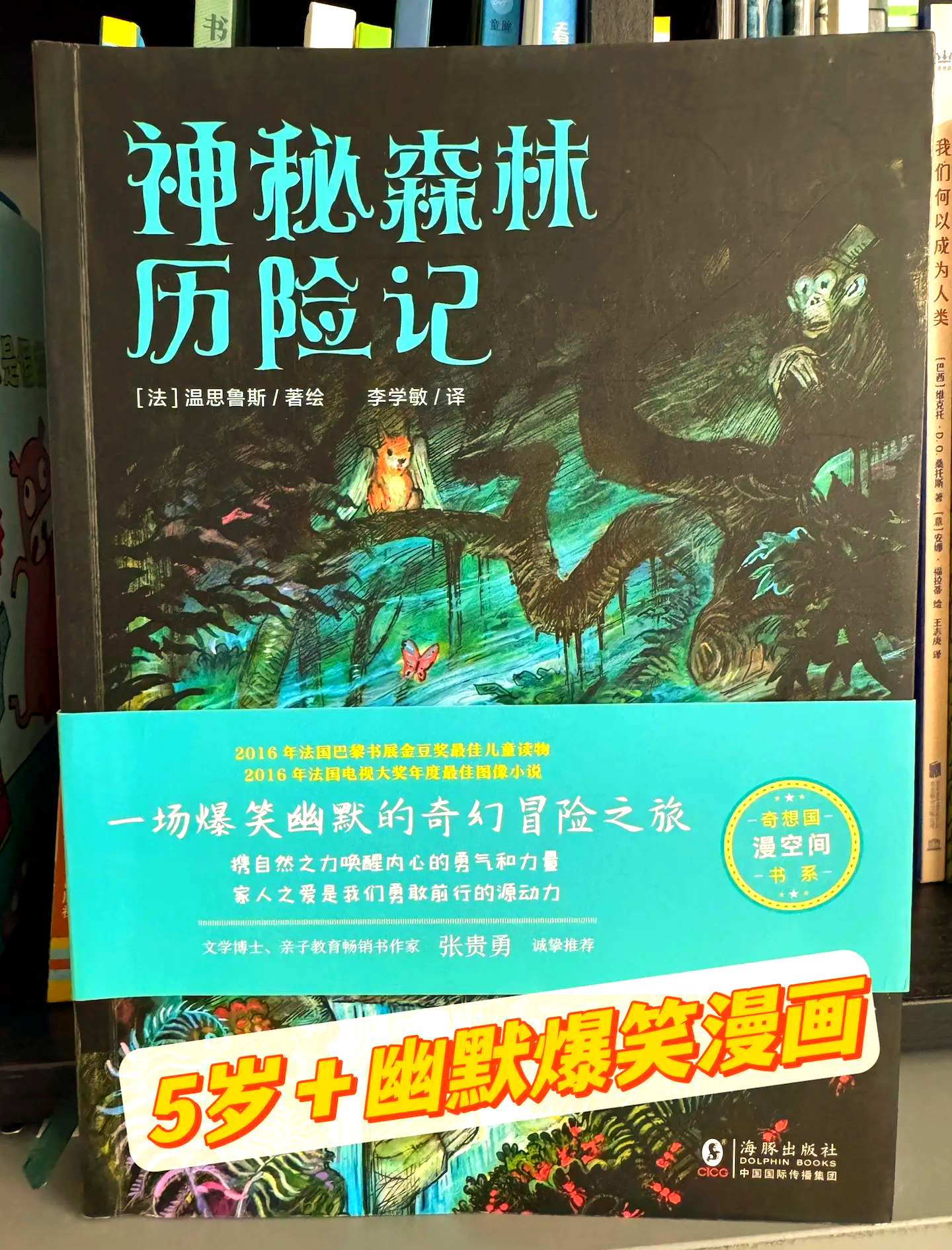 神秘宝藏，寻宝之旅的奇幻冒险-第1张图片