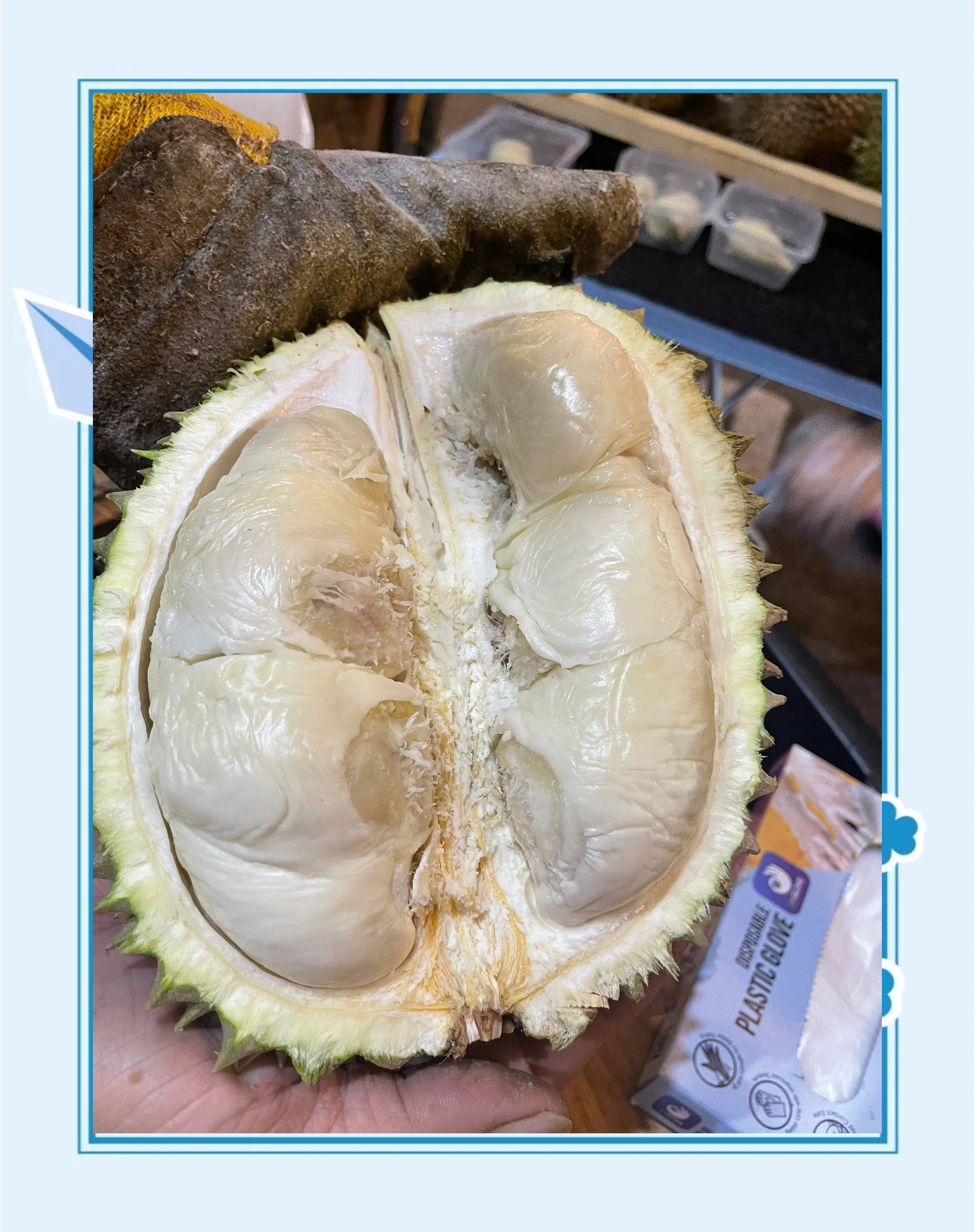 午夜刺激黄瓜西瓜葡萄榴莲蘑菇tv午夜美食之旅，探索黄瓜、西瓜、葡萄与榴莲的独特魅力-第1张图片