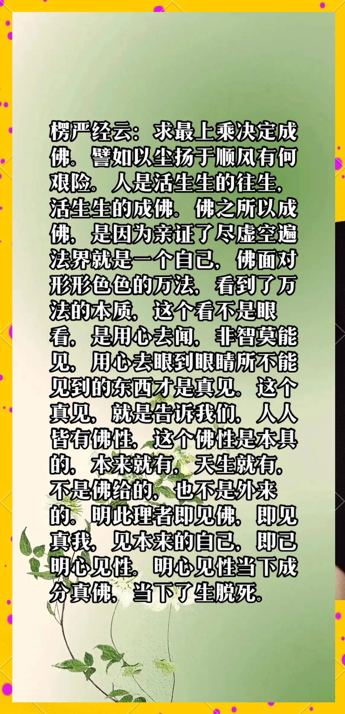 成佛之路，1v2的挑战与启示