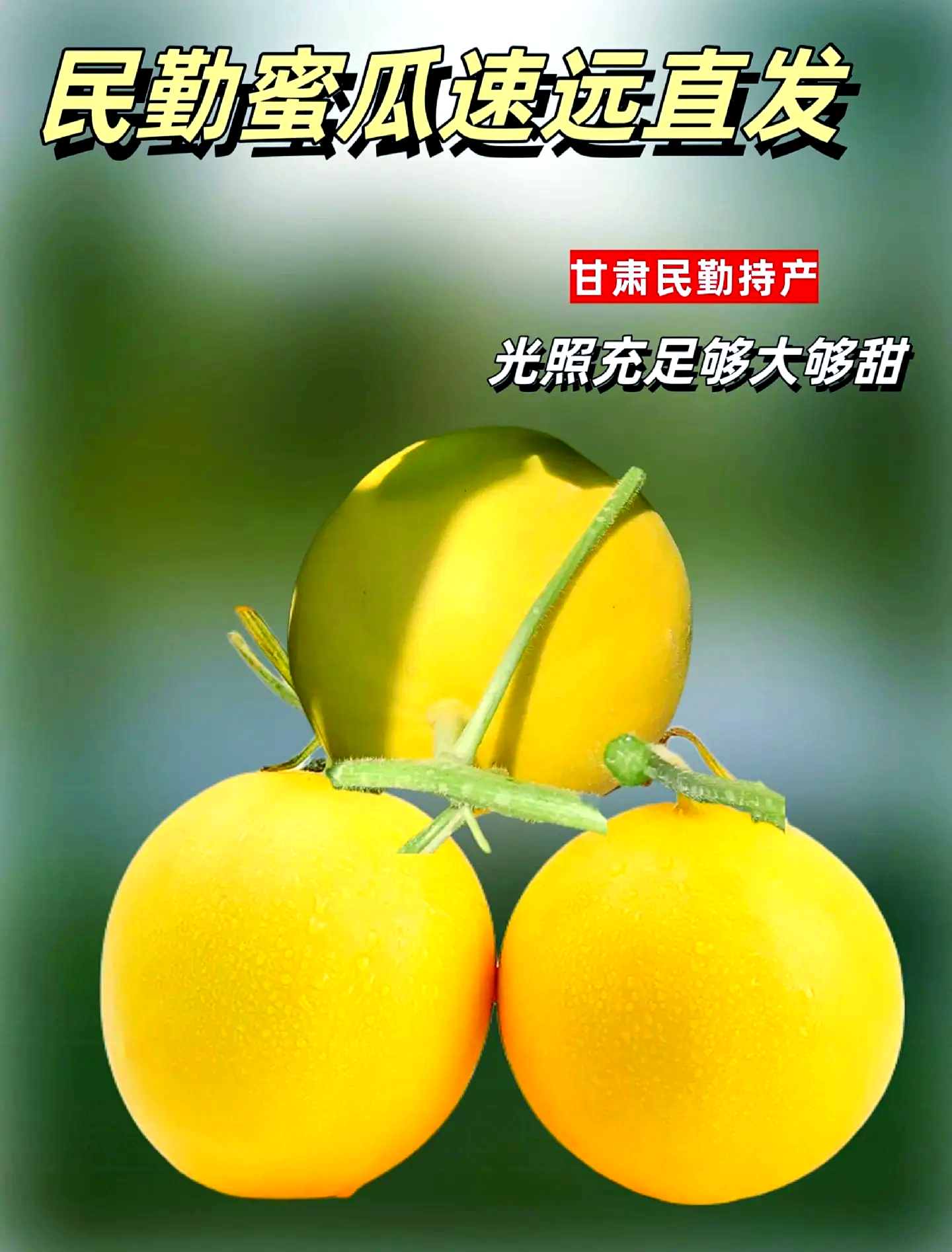 51朝阳吃瓜——今日吃瓜，美味入口-第2张图片