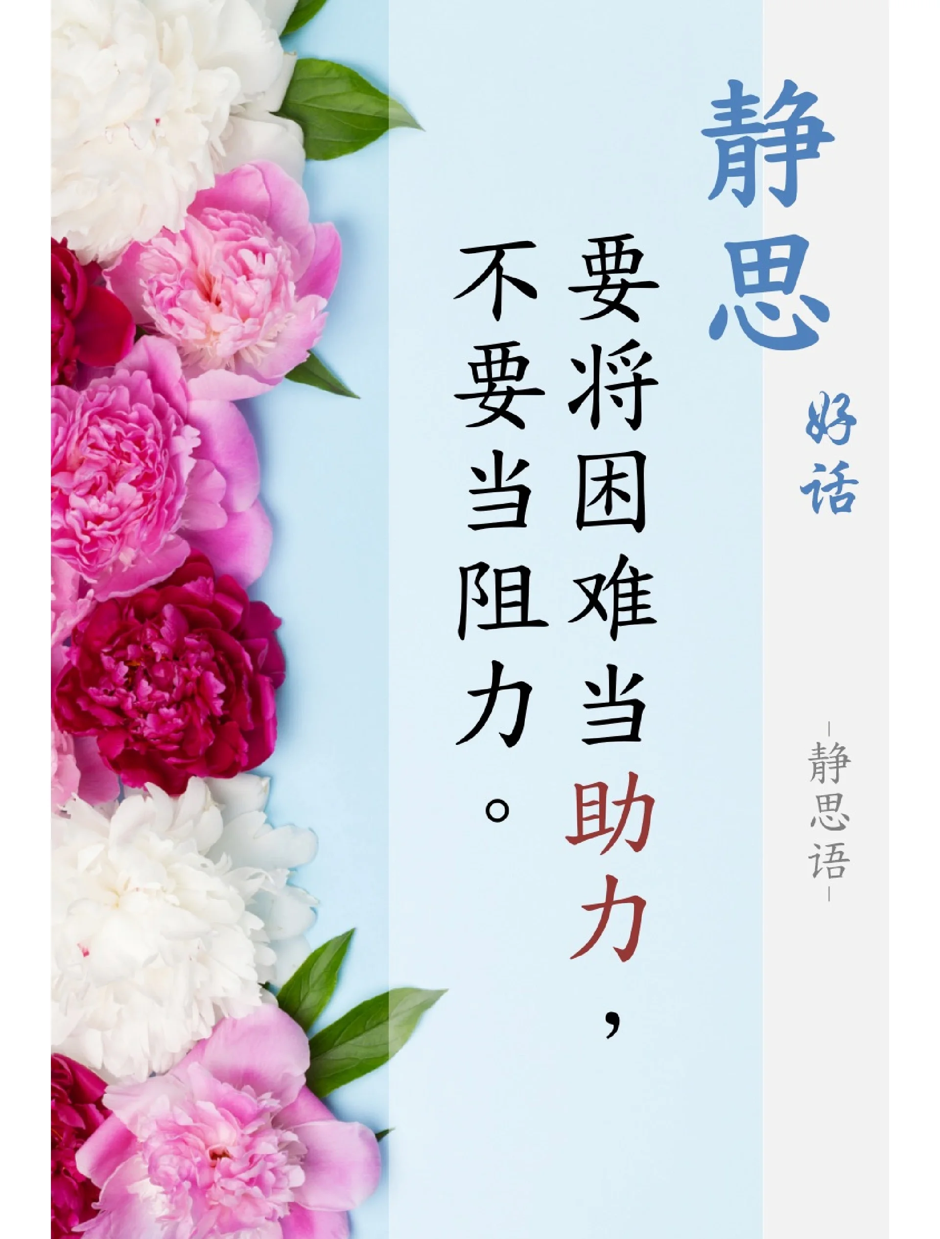 盲憎盲憎，坚韧的信仰与无声的修行-第2张图片