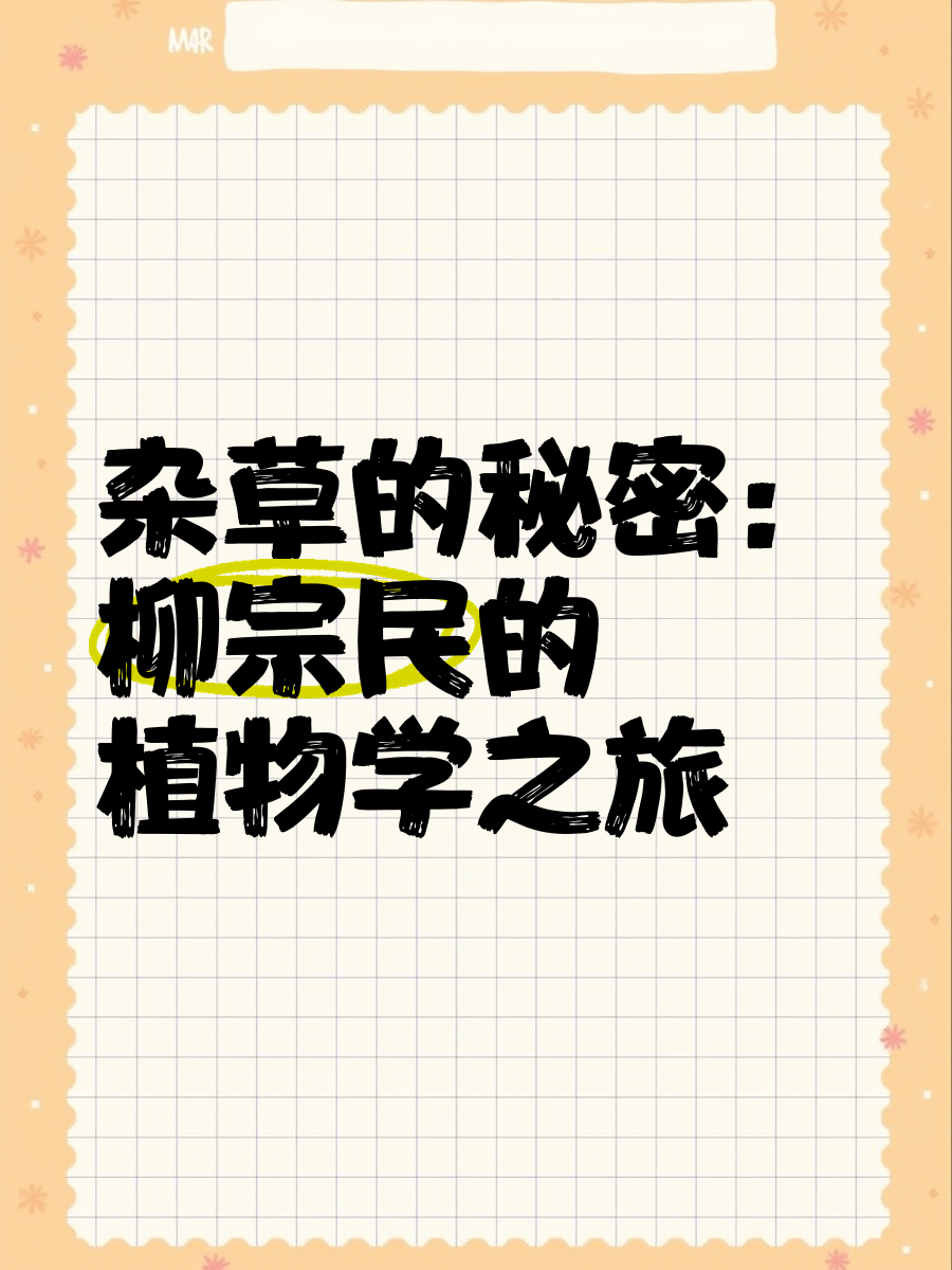 野草一二三四地区乱码野草生长的秘密——一二三四地区的乱码探索-第2张图片