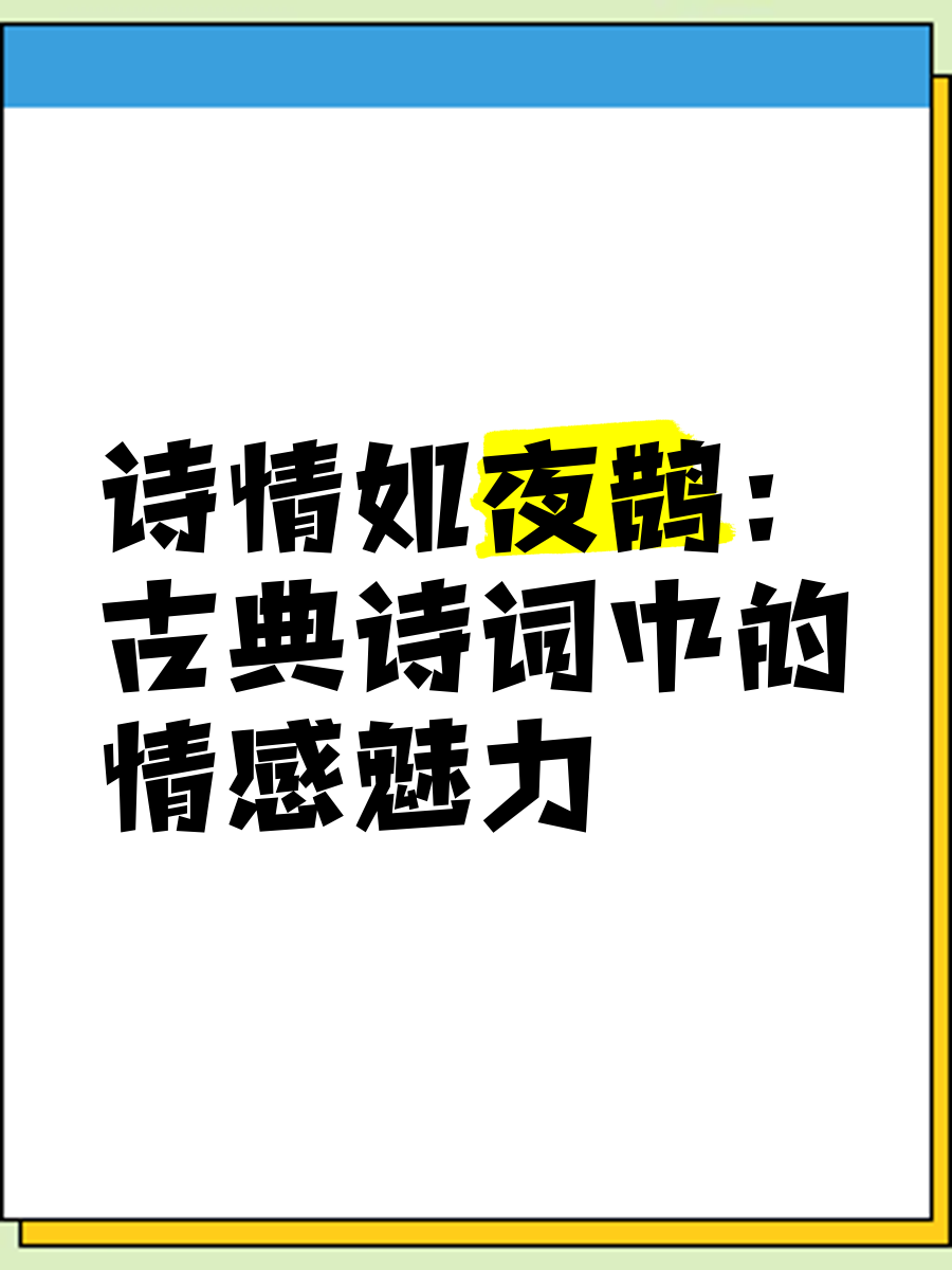 夜夜情，一段深情的探索-第2张图片