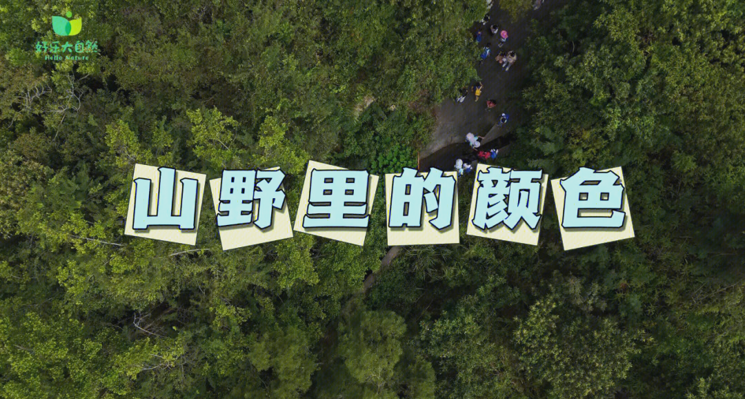 前往奇妙玩具店的旅行奇妙之旅，一次难忘的玩具店探险
