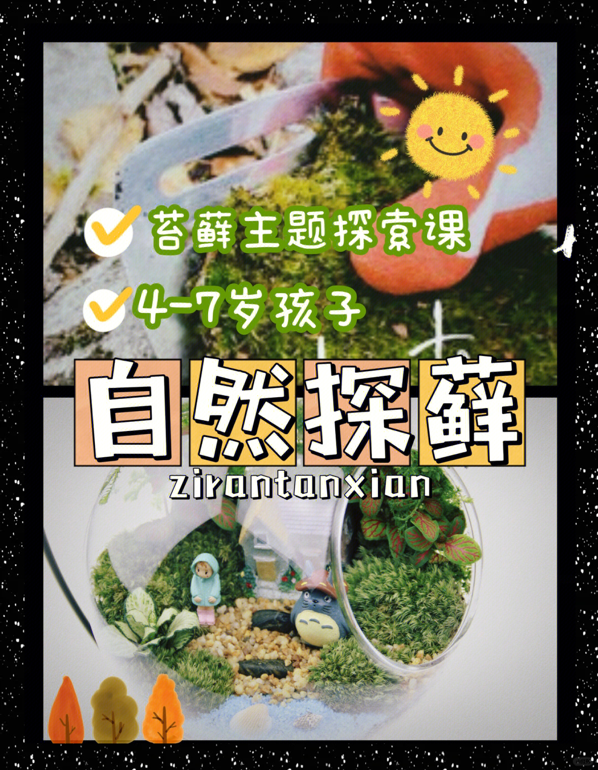 探索网络世界的奇妙之旅，菠萝菠萝蜜Www免费-第1张图片