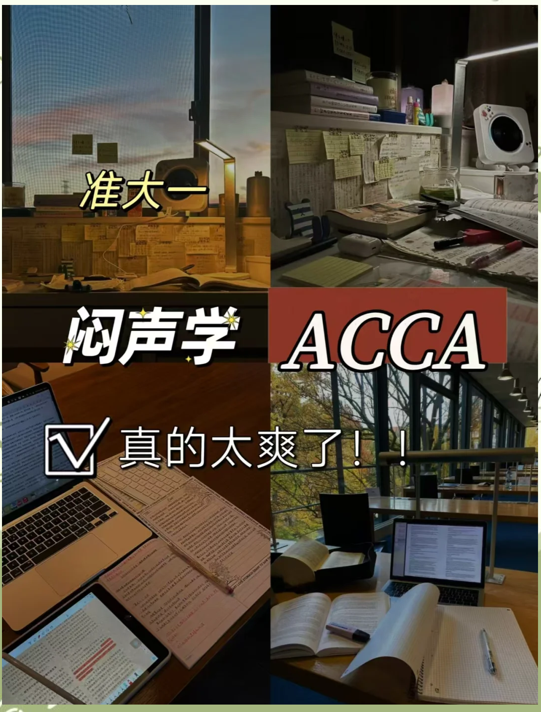 acca少女网课视频ACCA少女网课视频，开启高效学习之旅-第2张图片