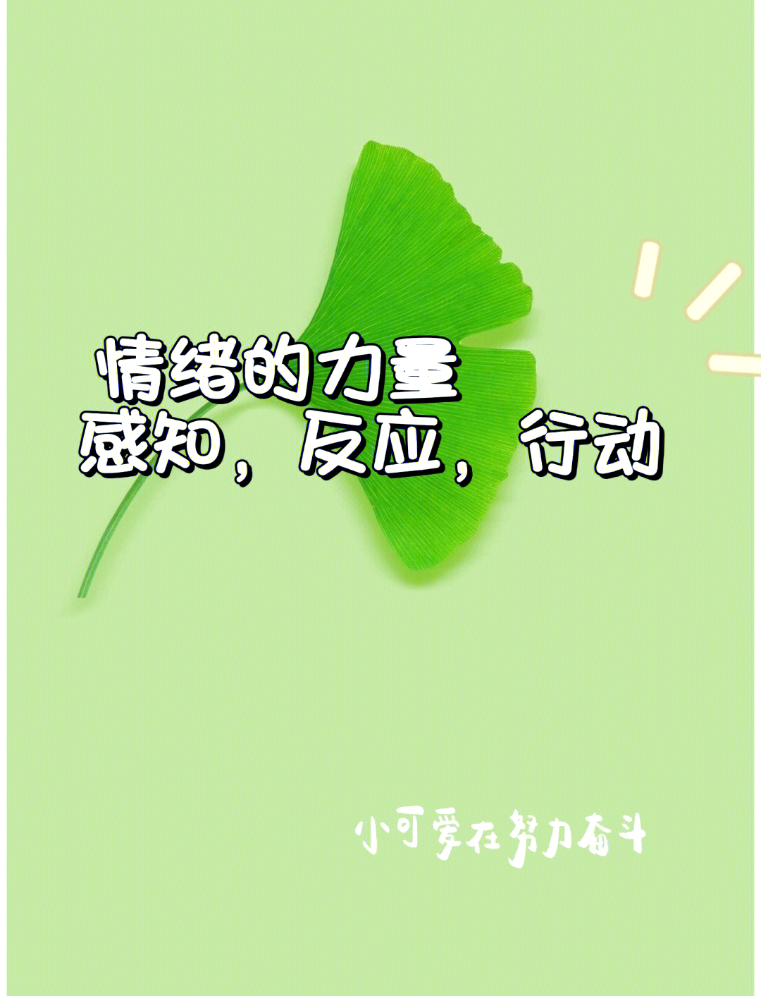 综合开心四月份激动的心情原因婷婷综合——全面发展的力量与魅力-第2张图片