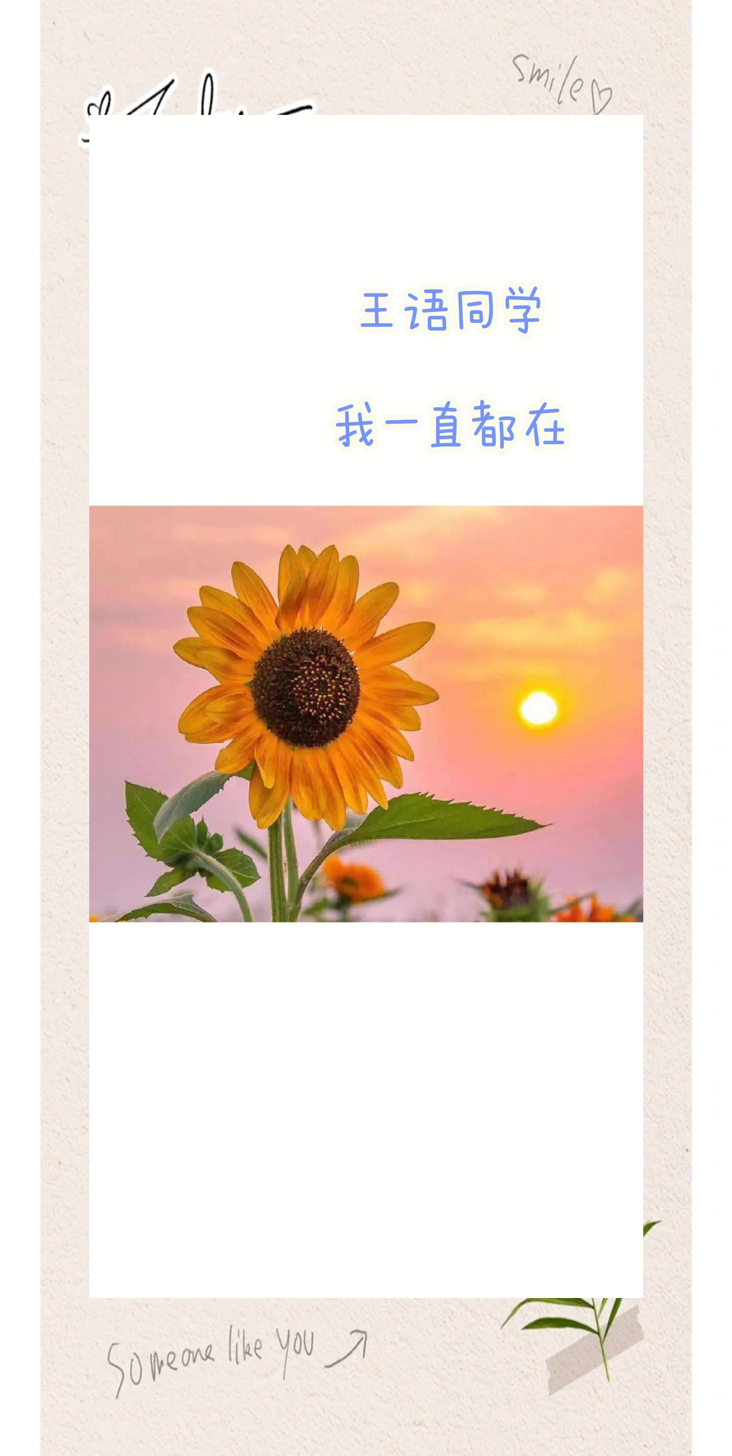 向日葵APP下载网址进入在线探索向日葵APP，下载网址与在线体验-第1张图片
