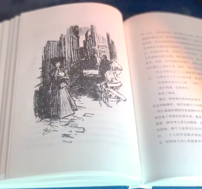 我的帝国小说我的帝国，梦想与现实的交响-第2张图片