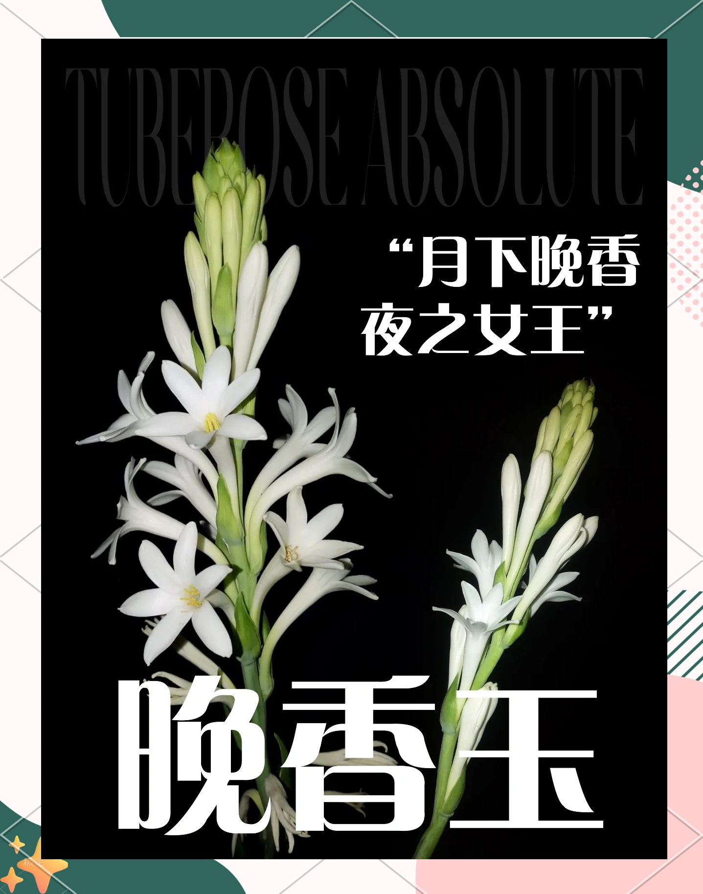 闻香玉，一种独特的文化瑰宝-第3张图片