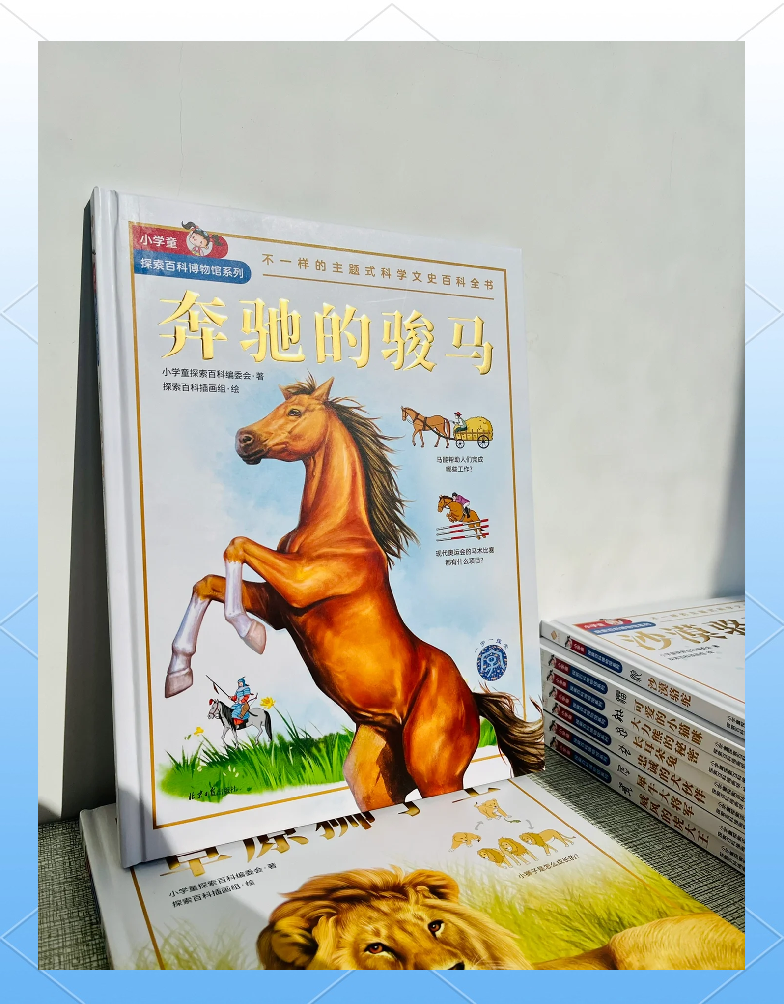 深入探索，马儿奔跑的魅力与意义-第2张图片
