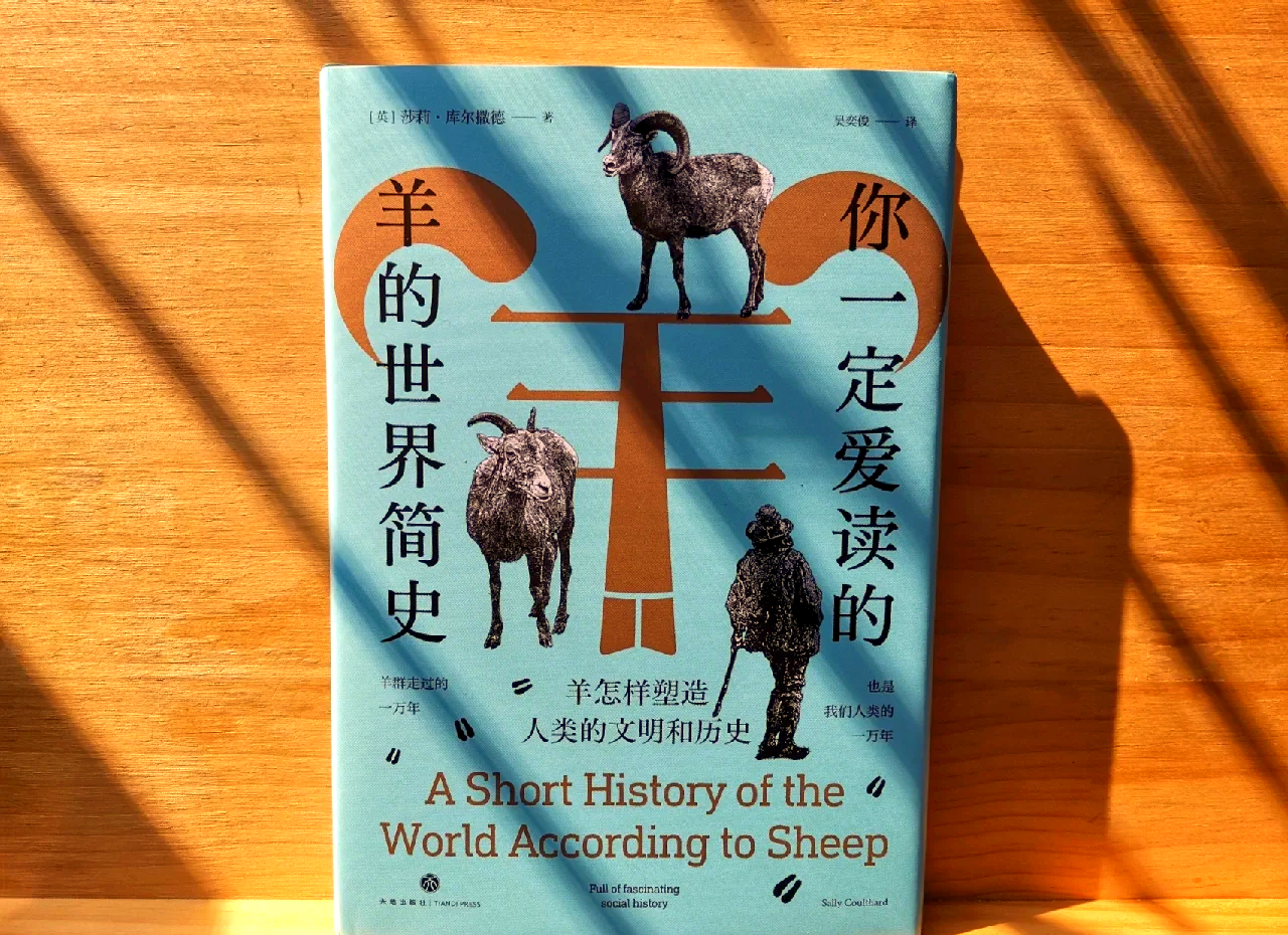 羊的下面和人的是一样的羊的下面与人何其相似-第1张图片