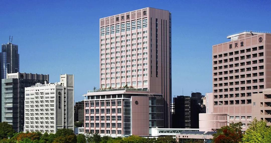 日本天堂网站探索日本天堂网站，一个充满魅力的网络世界-第3张图片