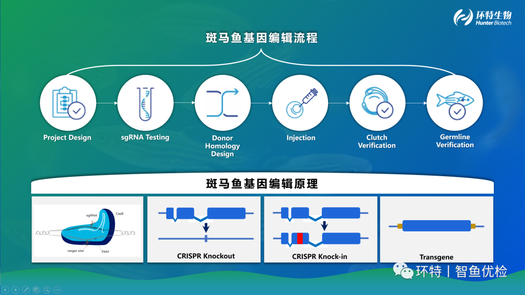 blast2go，改变生物信息学研究的新力量