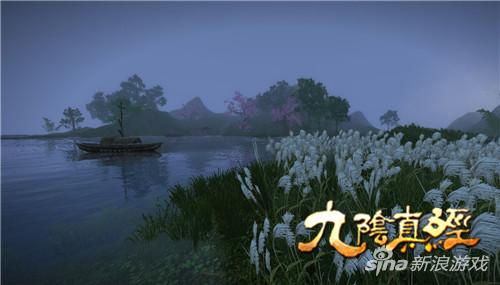 九阴真经卡心得，武学之路的深度探索-第1张图片