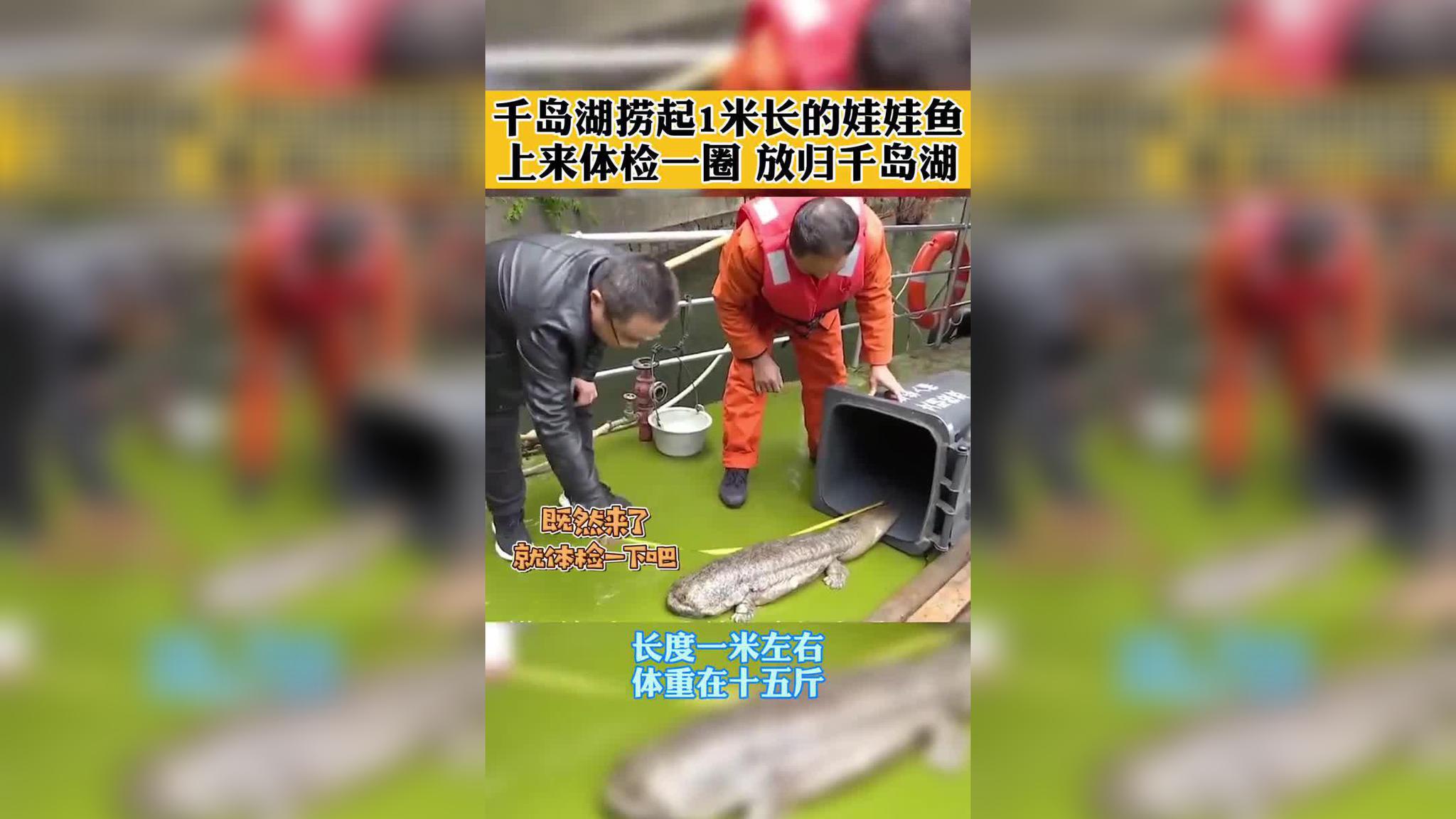 伴随动作发出黏腻的水声水声中的故事