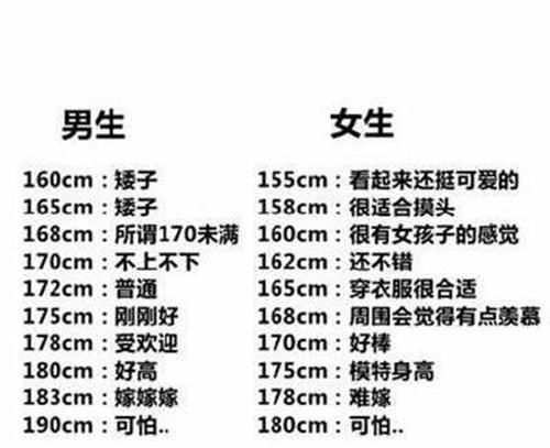 男生女生差异的探索，软件下载与破解版的风险